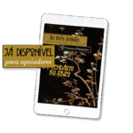 novembro2
